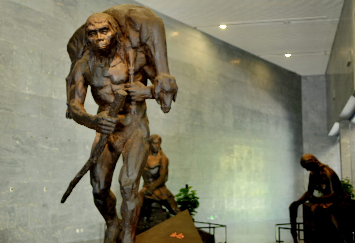 周口店北京人遗址重大发现：50年来首现更新世人类化石！