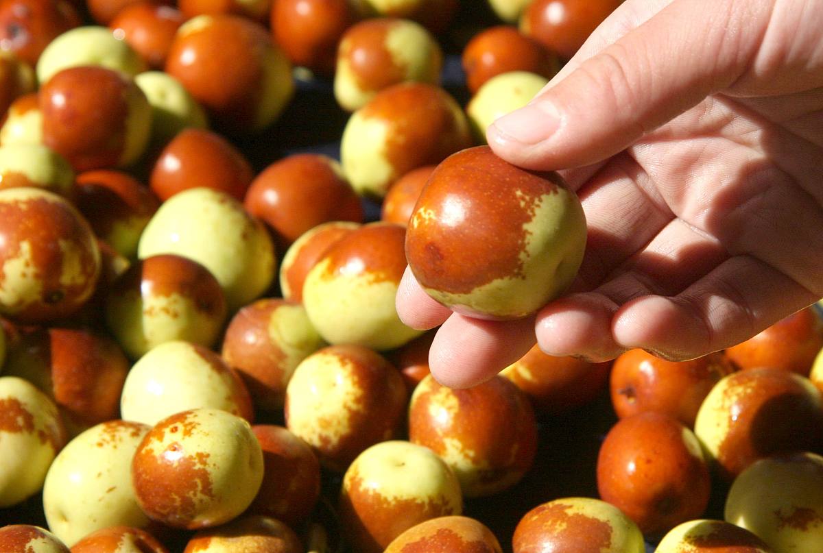 抚顺市农业特产学校2022年咨询电话多少？