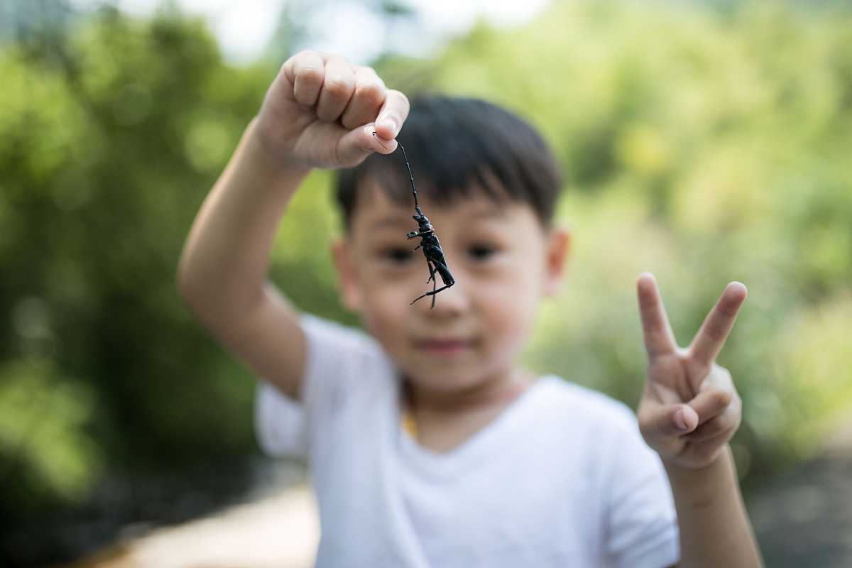 西瓜视频视频计划审核未通过？删除后对账号的影响