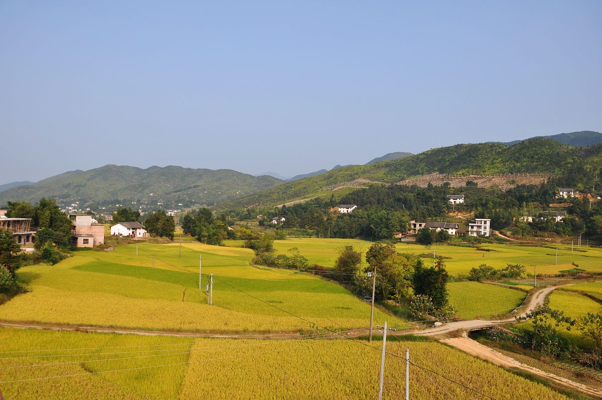 秋日漫步：写给秋天的300字小学作文