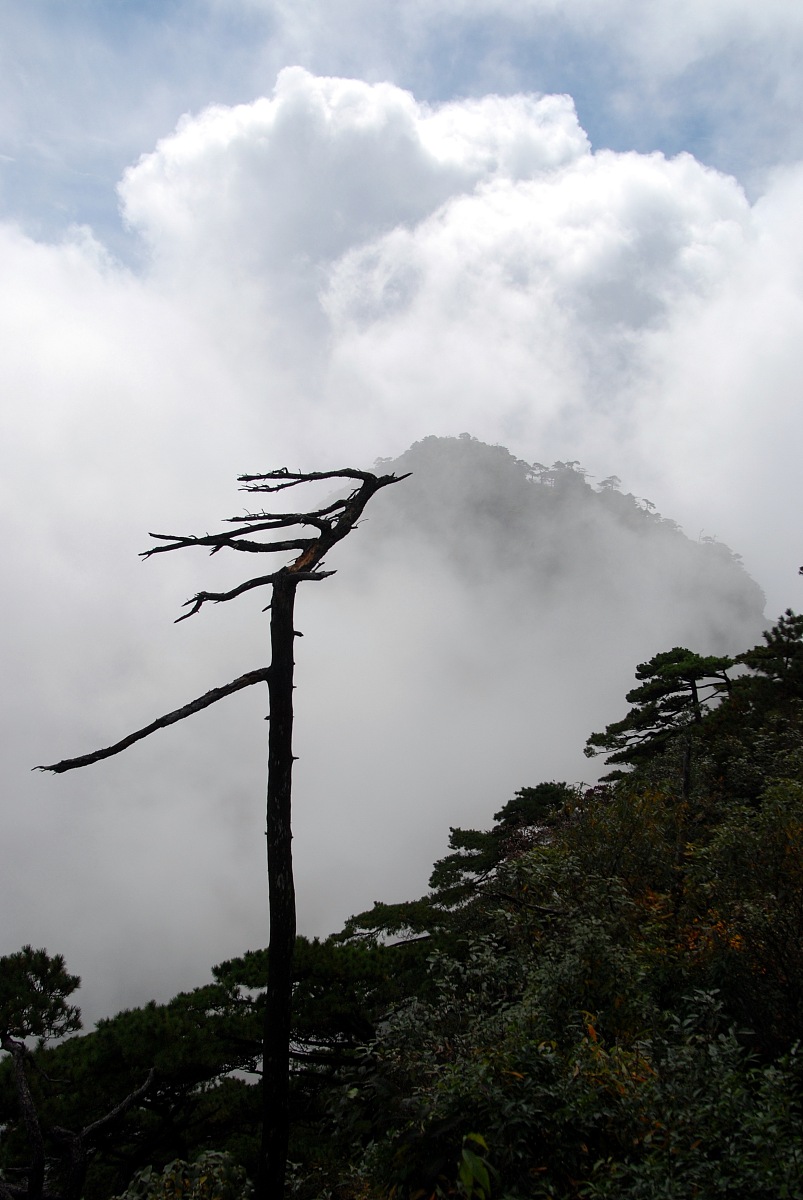 2011年11月02日,江西省上饶市三清山***_***三清山秋季风景.三清山集