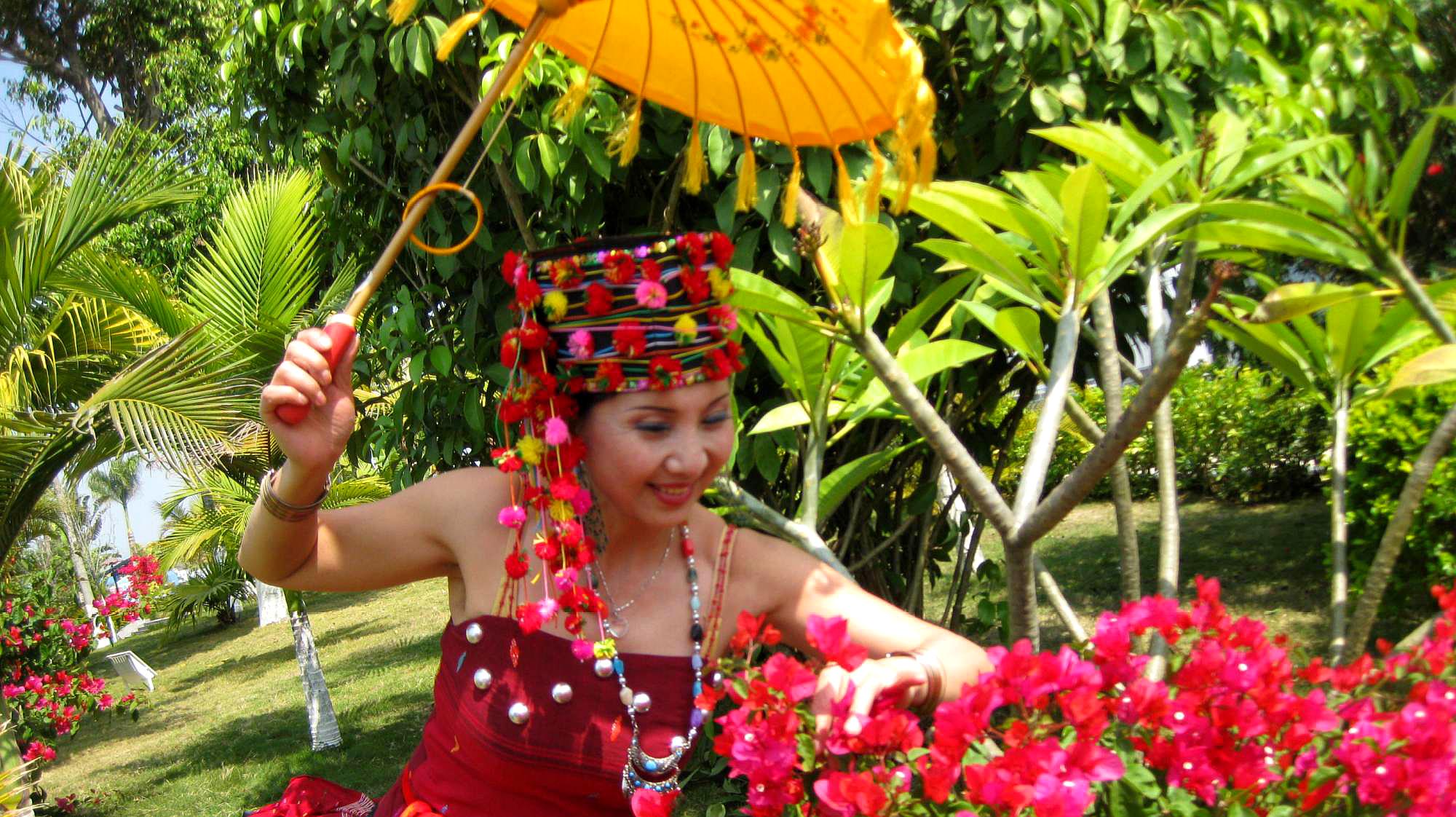 [图]古典伞舞秀莲花《莲花亭》上醉莲花