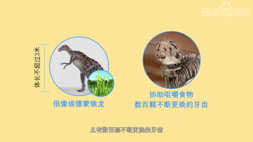 一分钟了解小鸭嘴龙