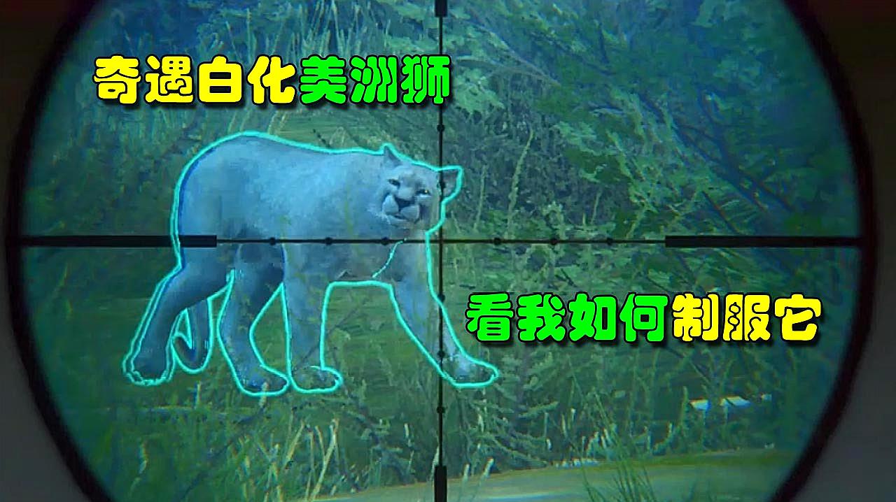 [图]猎人荒野的呼唤5:奇遇白化美洲狮 看我如何制服它