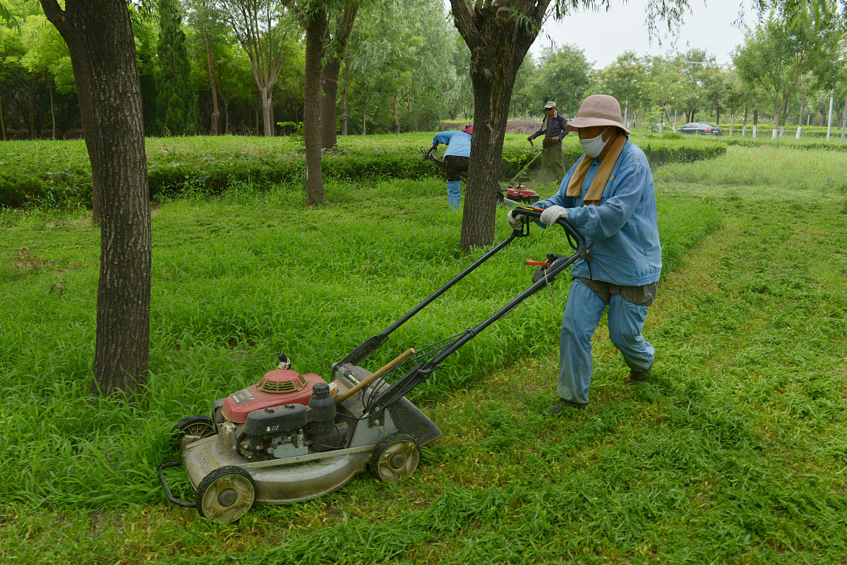 绿化养护经济措施
