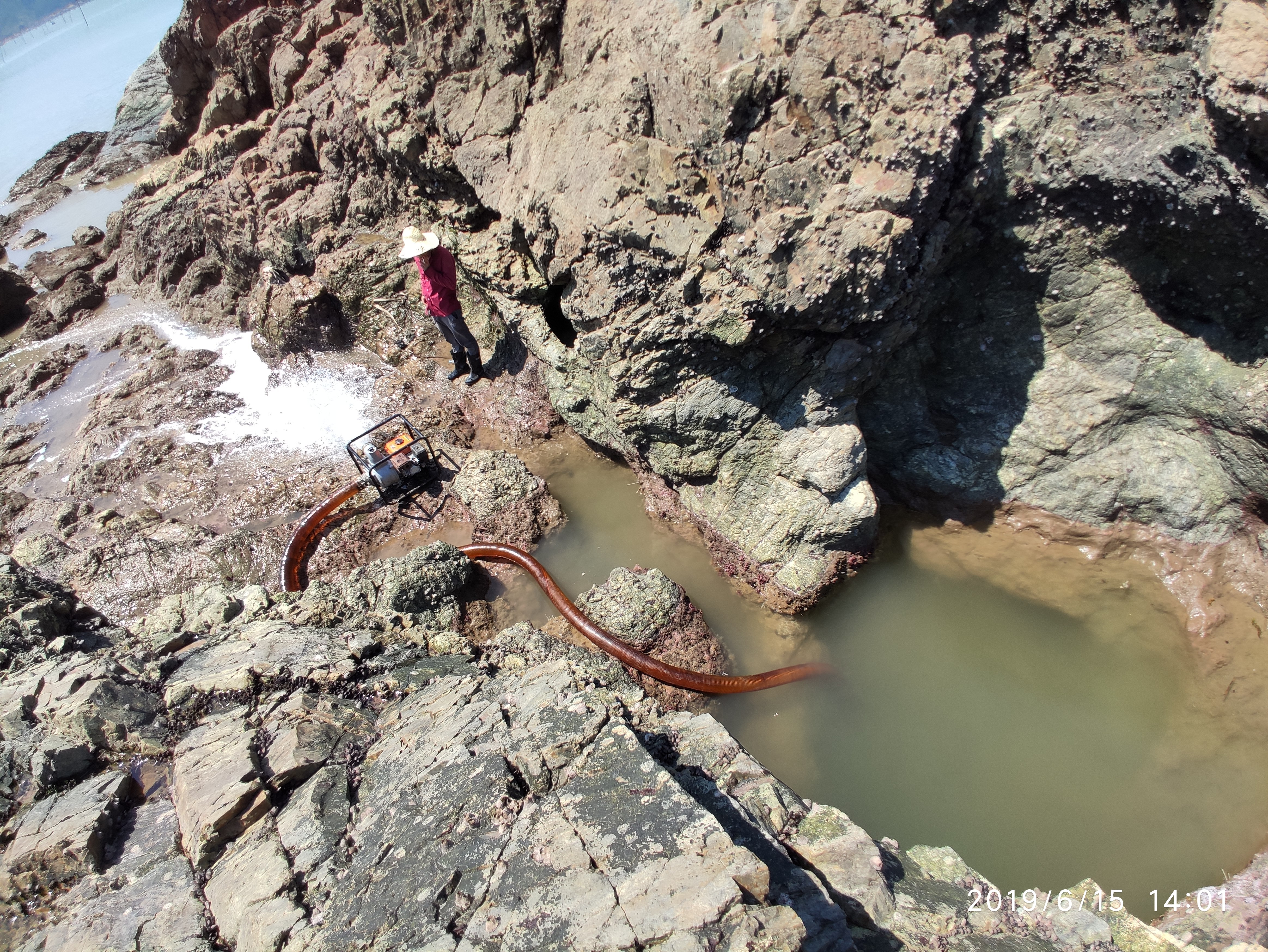难得的大退潮,兄弟几个一次连抽四个水坑,抓鱼到涨潮都还没抓完