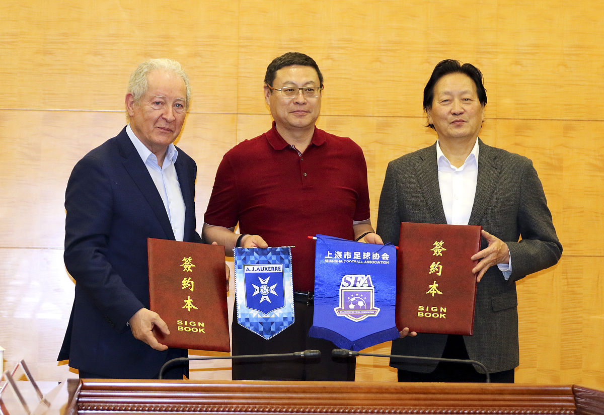 上海大学刘宛予教授获颁法国政府学术棕榈骑士勋章