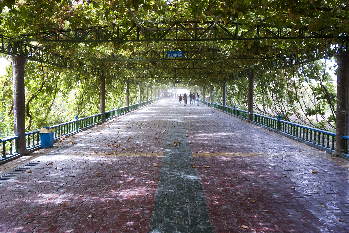 吐鲁番葡萄沟景区研究方案文献综述：自然、文化与旅游