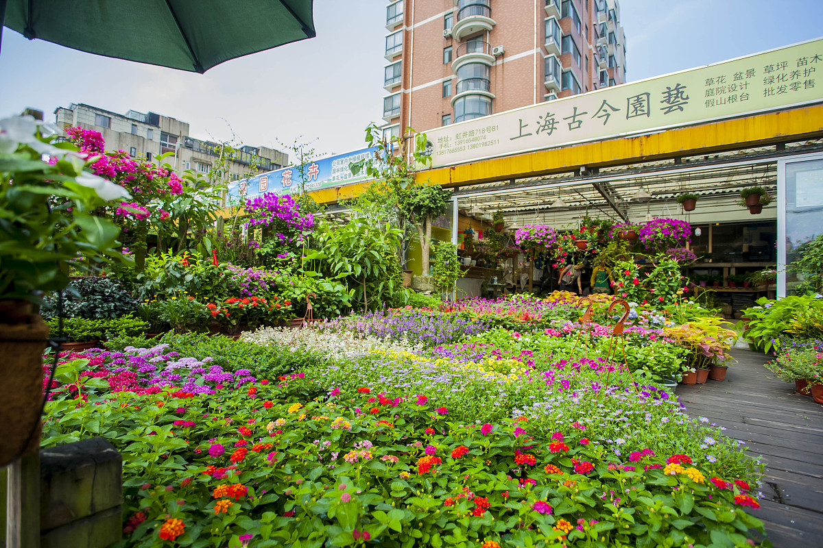 餐椅好评文案：舒适体验，好评如潮！