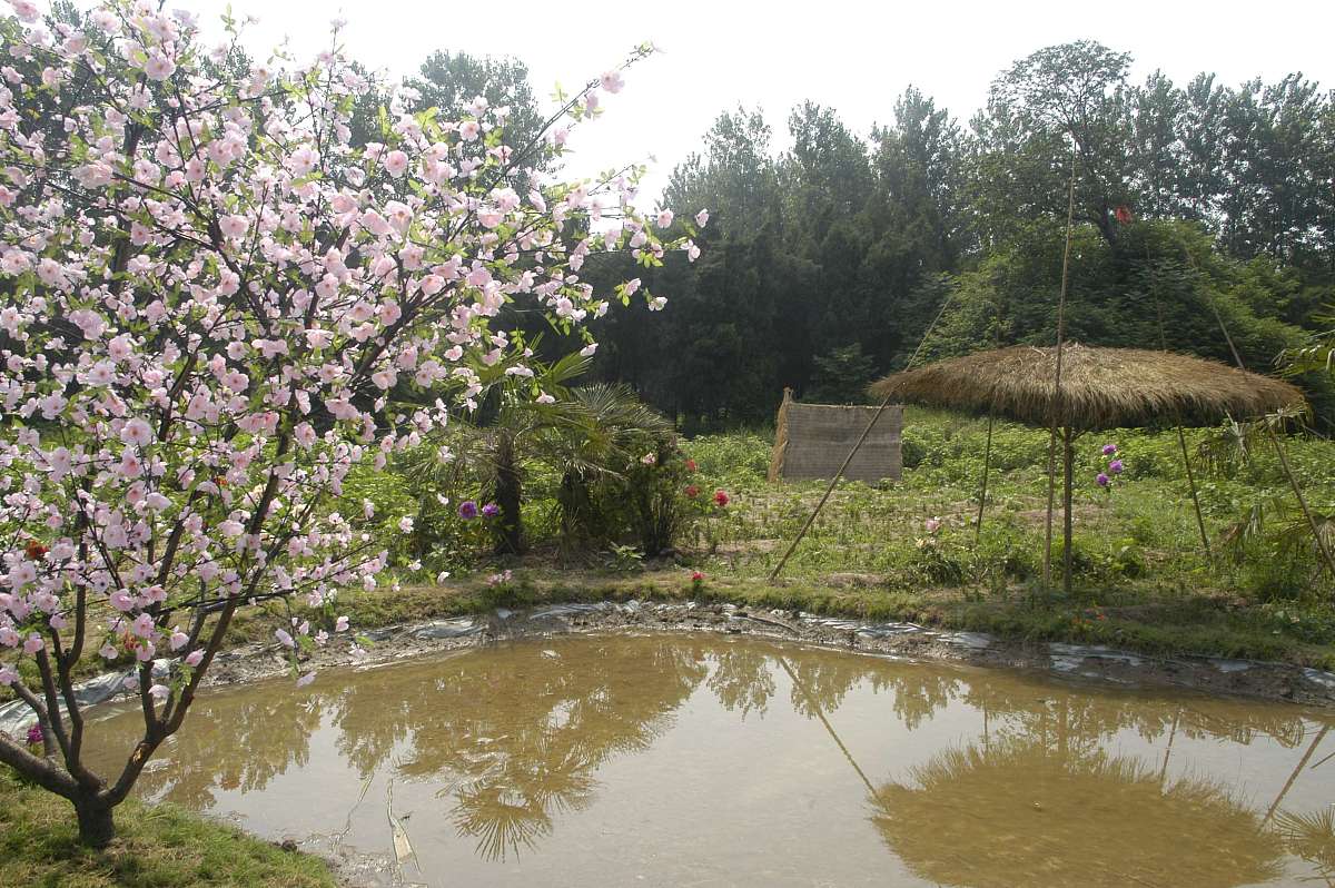 东海帝王怎么复活的回答及拓展