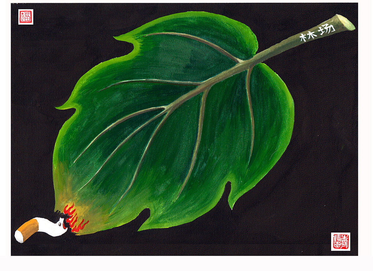 中国能源污染事件：2020年至今的重大环境问题