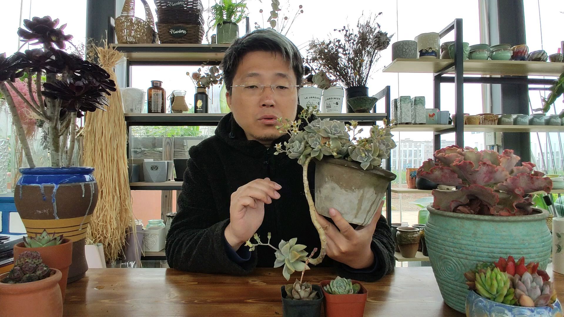 夏天到了,如何养好多肉植物,这些养护方法和经验,让多肉更健康