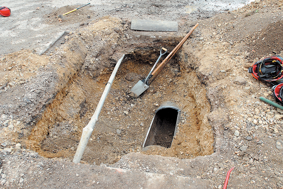 英勇少年救小狗，邂逅美丽女孩，谱写浪漫爱情