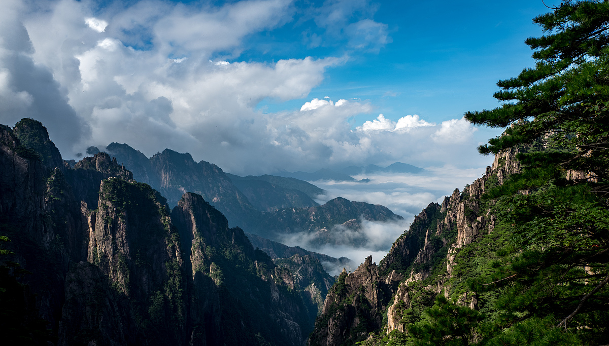 古代人寿命有多长？揭秘古人平均寿命和长寿秘诀