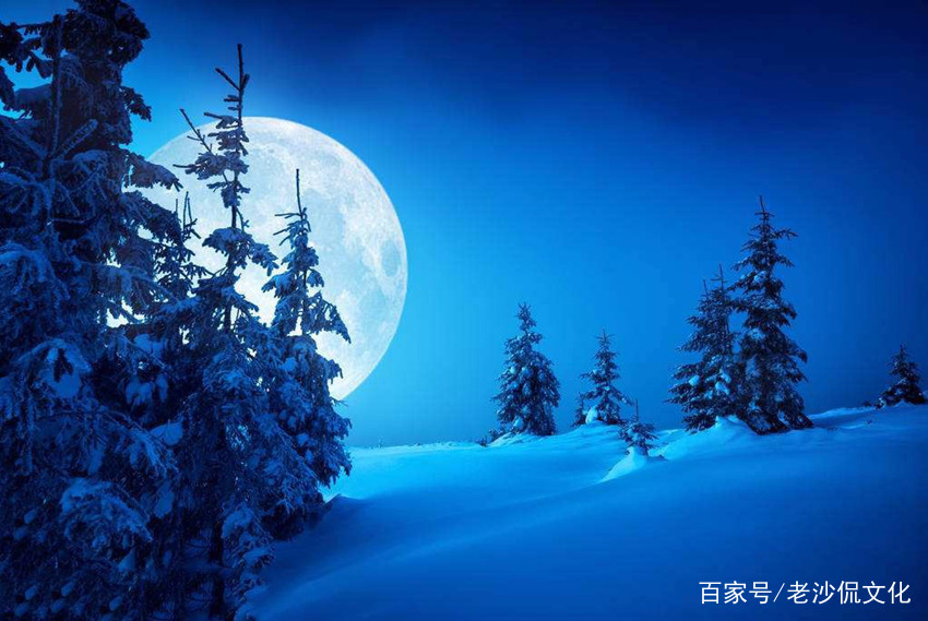 十首经典的写雪诗词,于雪而言是鬼斧神工,于诗