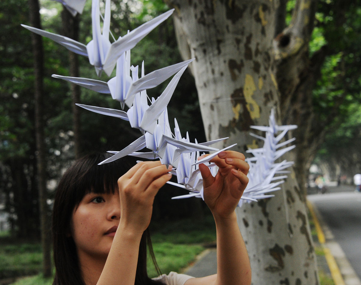 指导老师对数学研究性报告的评语