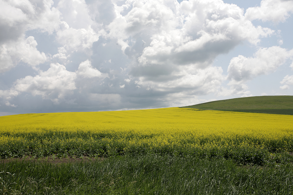2020辽宁省农业广播电视学校招生简章