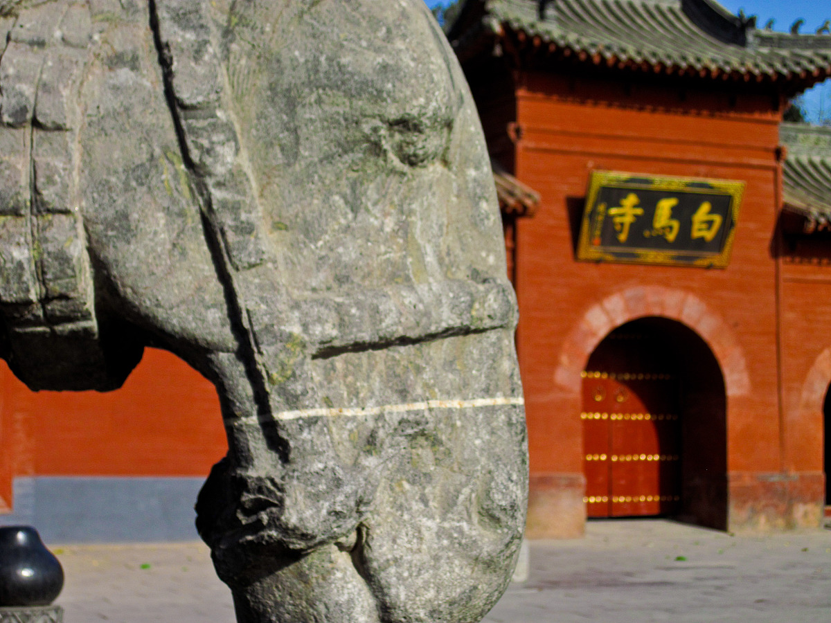 河南旅游学院国际金融专业招生简章：未来发展前景广阔