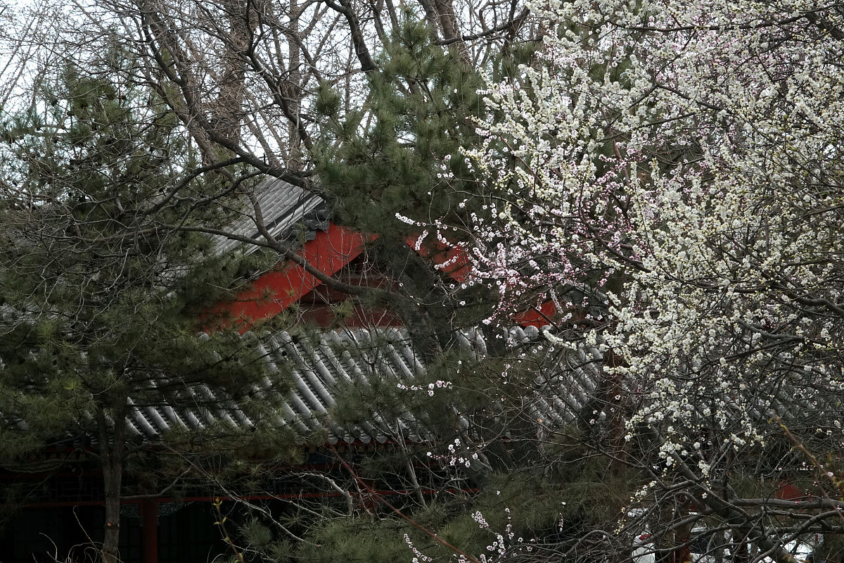 春天的故事：温暖、生机与美好