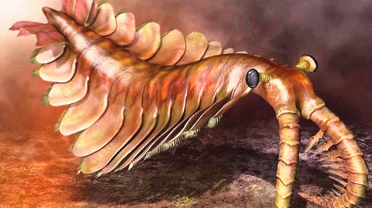 史前第一霸主,长得像龙虾,却称霸了整整一个时代!