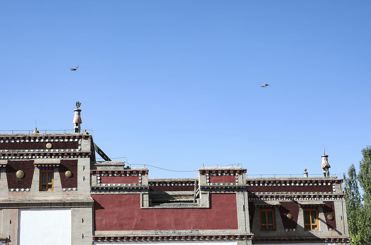 青海之旅 - 德语作文 (470字)