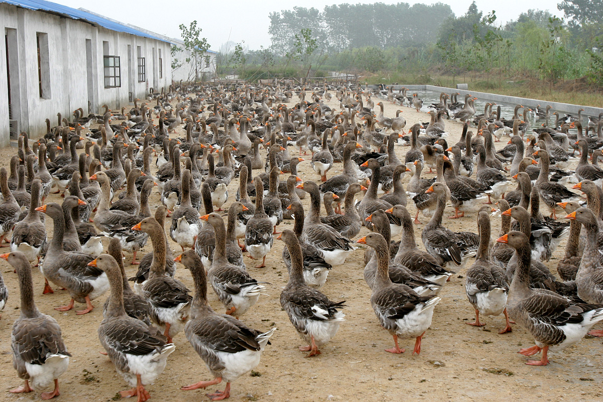 黑龙江农业工程职业学院单招有高铁乘务专业吗