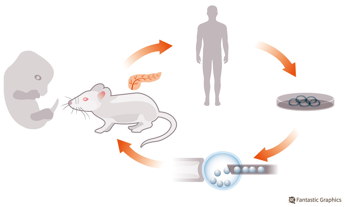 中国古代法律与道德的演变及“和合”文化的根源
