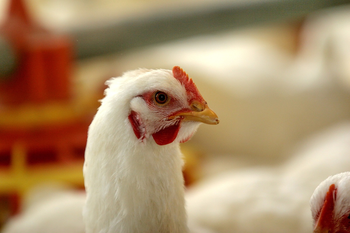 云南经济管理学院康复护理学院助产专业就业前景及发展方向