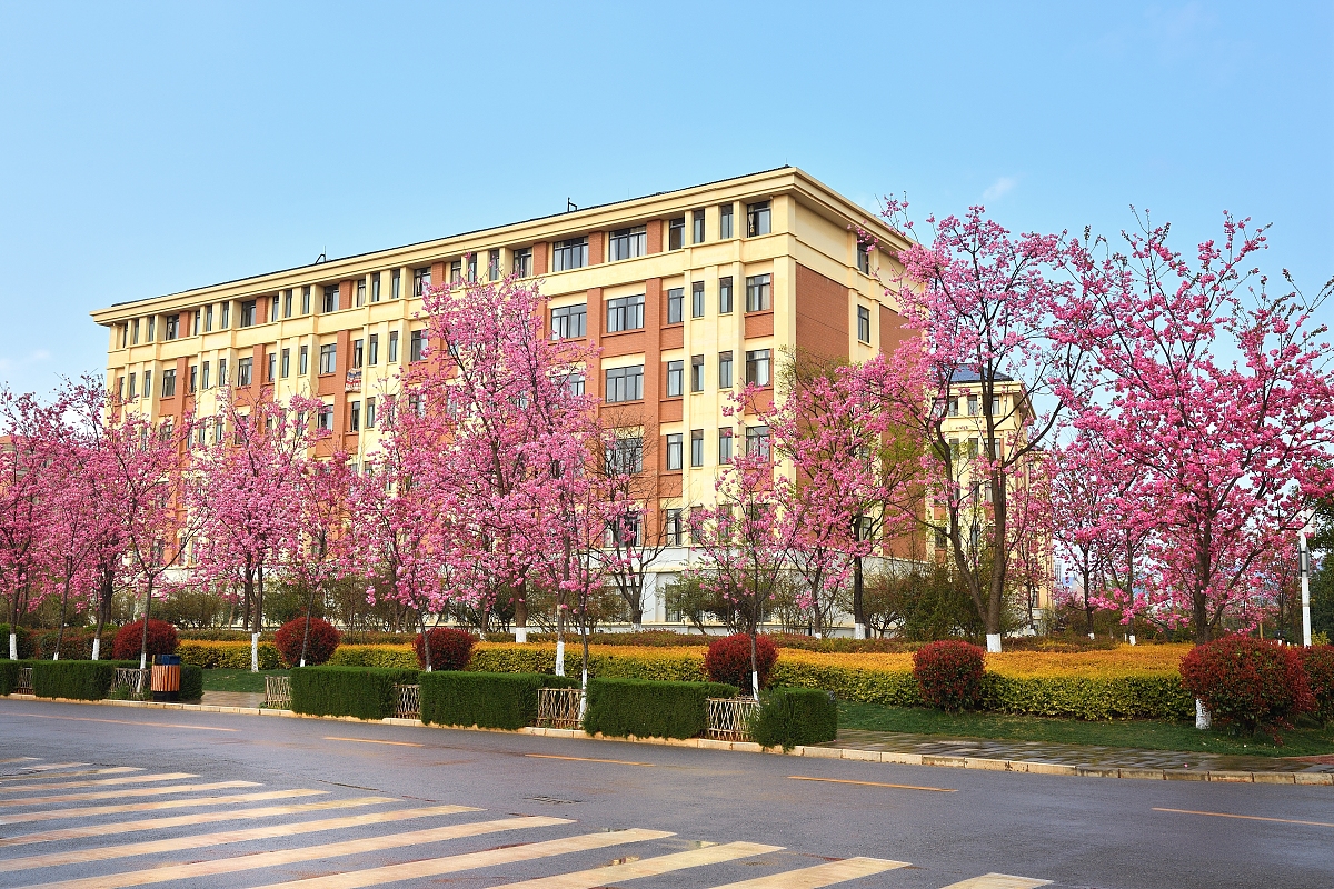 云南交通学院2019年五年制大专招生报名电话 - 报名咨询XXXXXXXXXXX