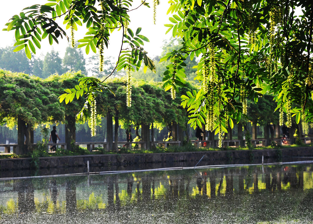 2022年杭州哪些中专比较好