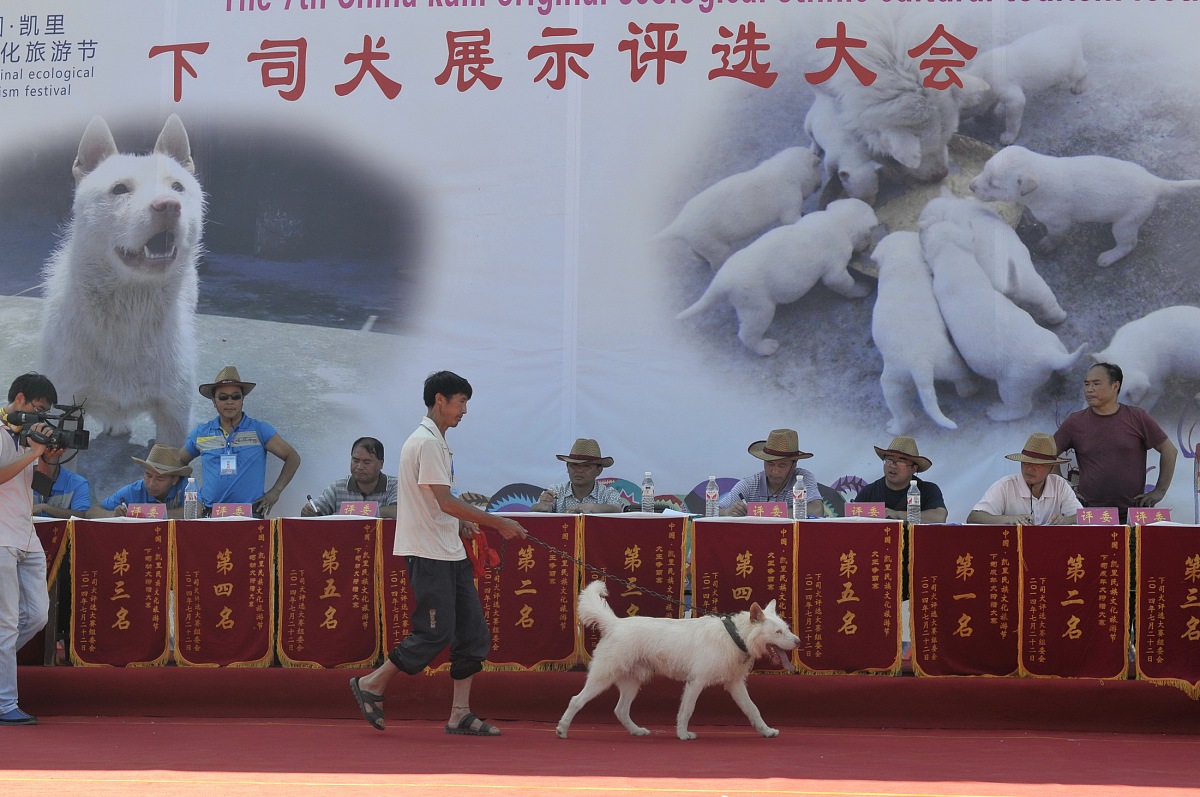 书海拾珍，悦写风华：经典著作书评大赛