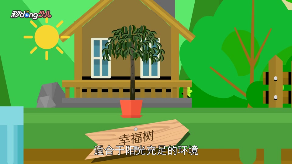 「秒懂少儿」幸福树和绿宝的区分