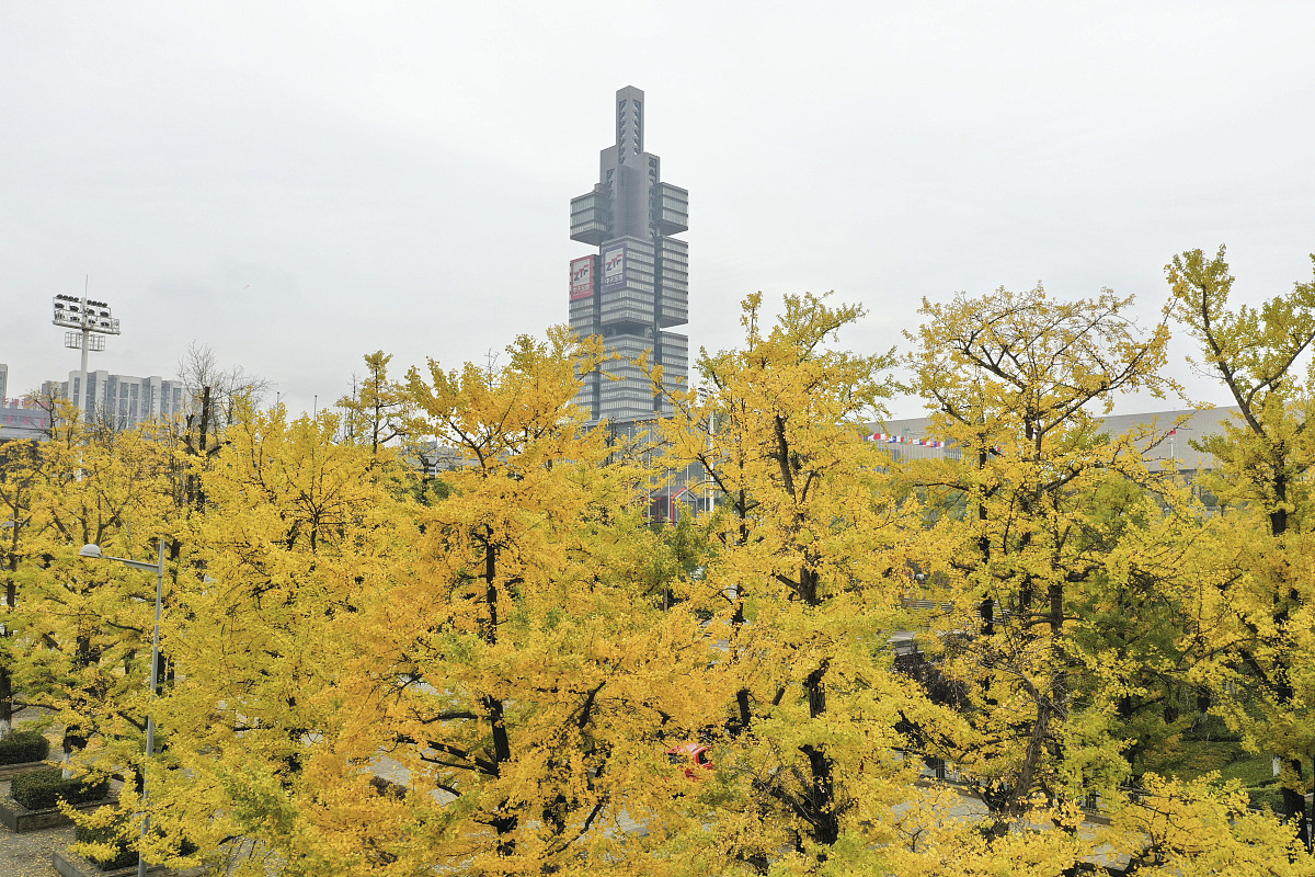 北京大兴区第一职业学校园林花卉专业怎么样