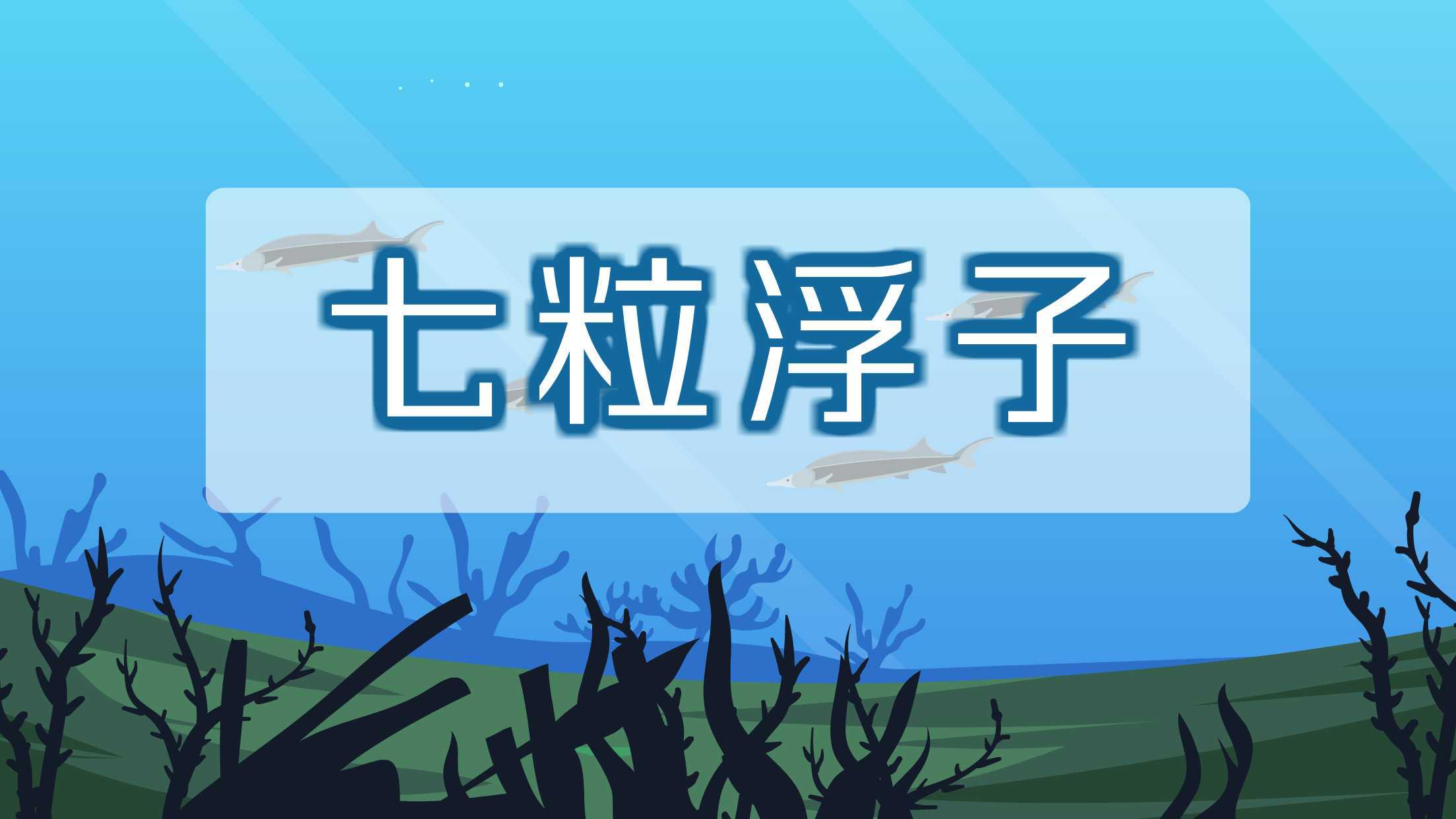 七粒浮子:珍贵经济鱼类之一