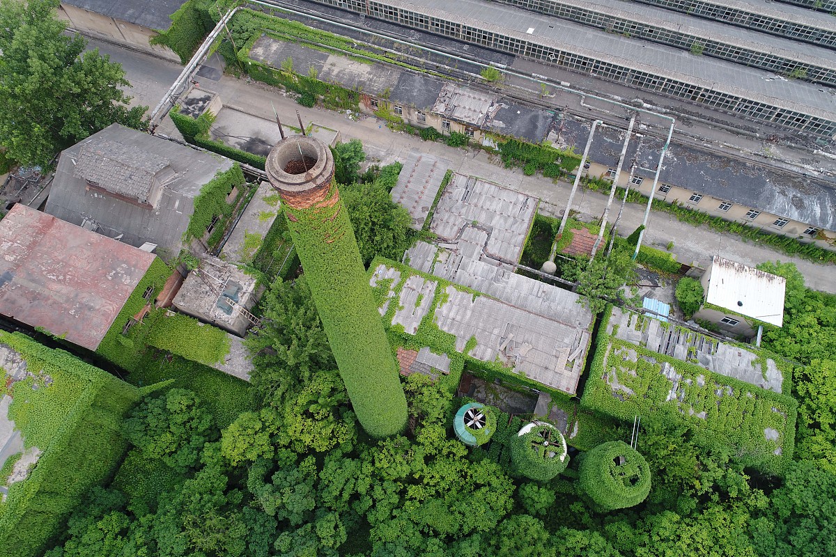 绵阳财经学校计算机应用专业招生简章 | 培养应用型人才，助力未来发展