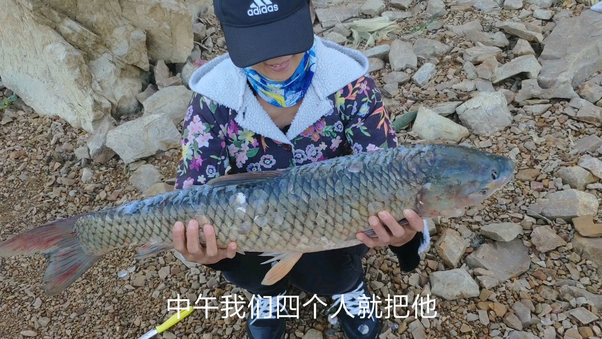 带大家体验一下,抛竿送线,深秋野钓大草鱼