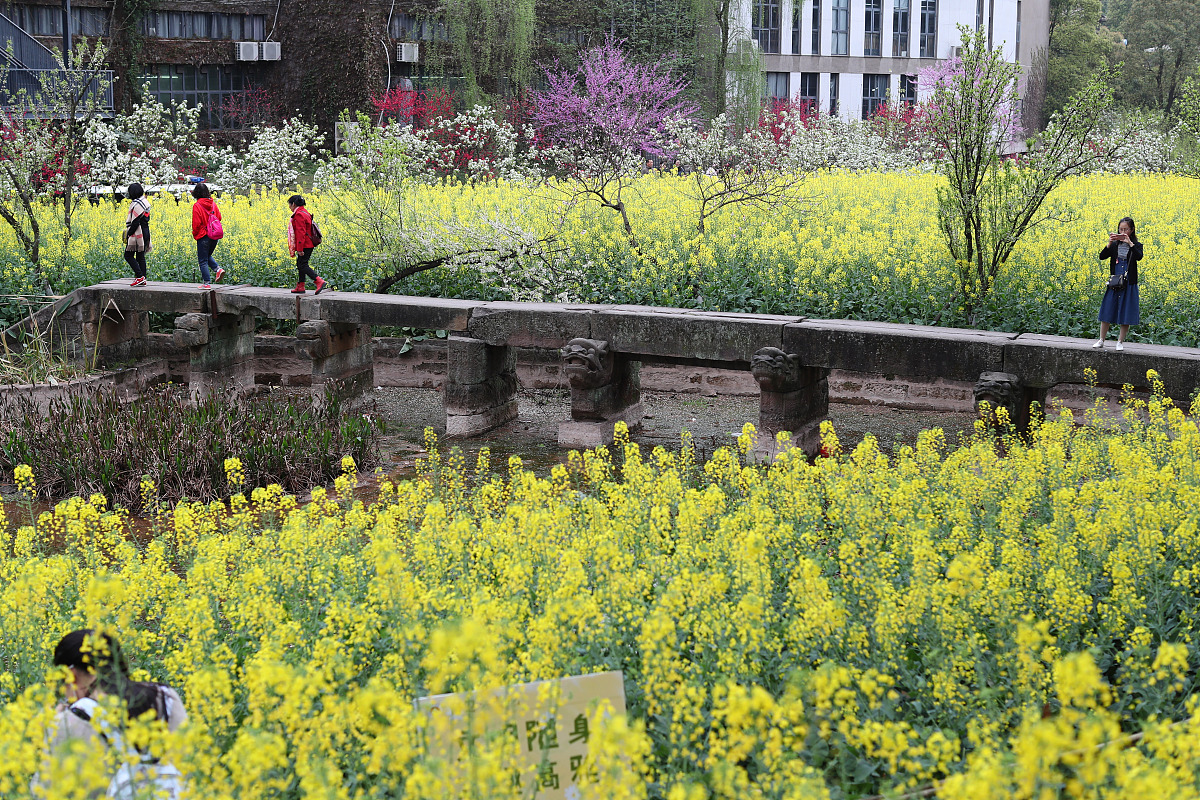 2020年重庆建工学院环境艺术设计专业招生