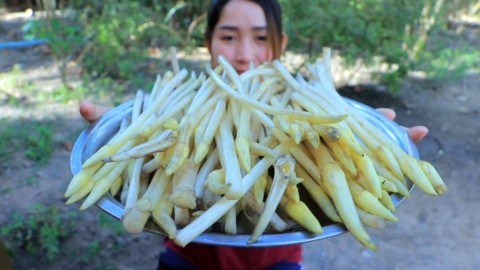 柬埔寨小姐姐烹饪美味家常小炒藕尖猪肉