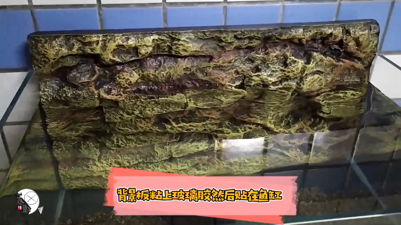 这鱼缸造景神器魅力太大,用了此小技巧,才把鱼缸背景板弄这么好