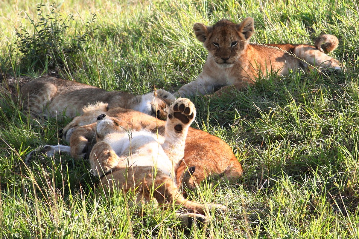贵阳公办幼师学校3+2五年制大专招生 | 培养优秀幼儿教育人才