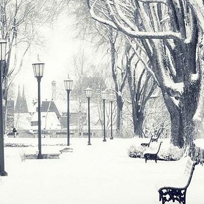 日本网友看中国春晚评论:好有趣!我每年都要看