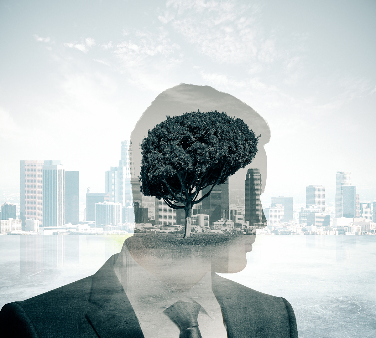 如何击破信息茧房？提出犀利问题，引发深度思考！