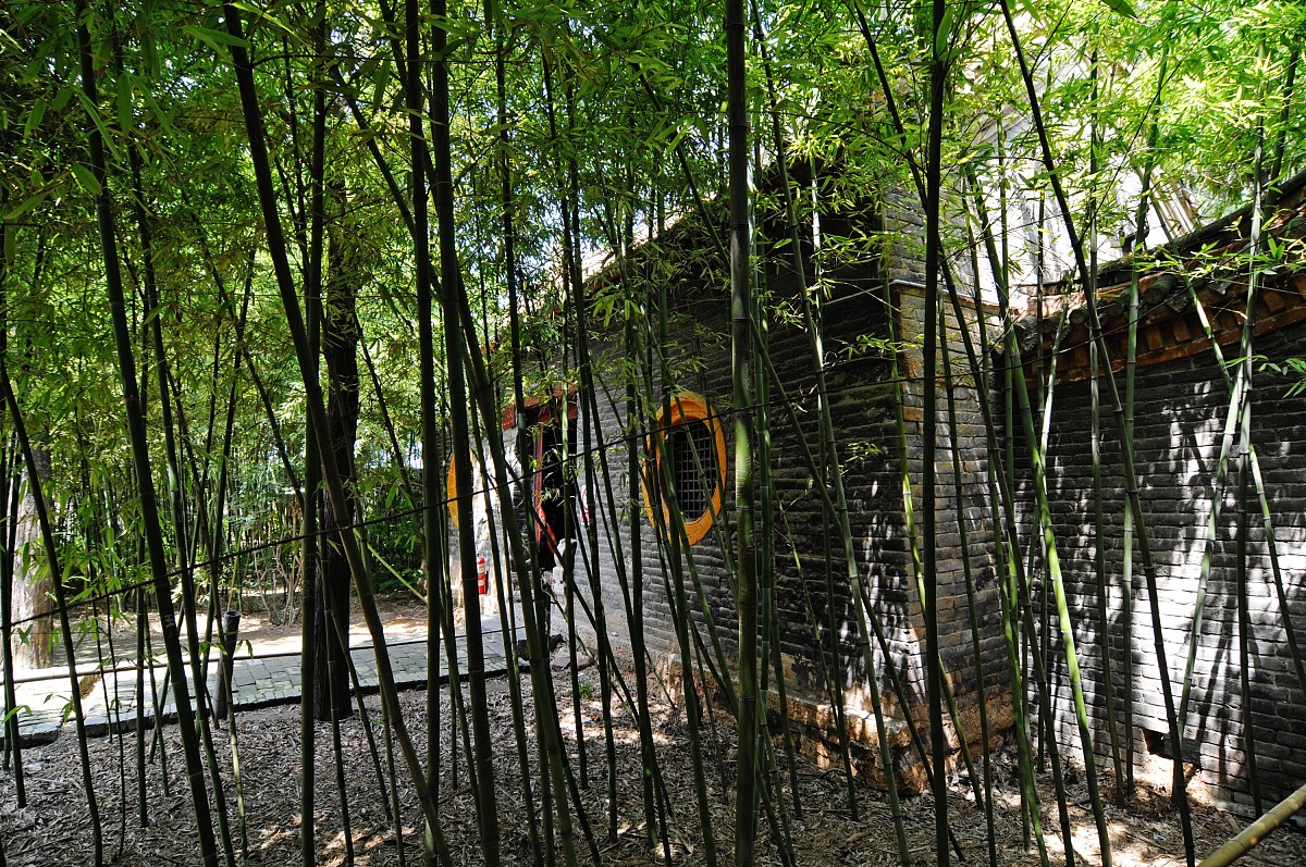 2009年8月,河南,三苏园.***_***广庆寺院内郁郁葱葱的竹林+++_+++古雅