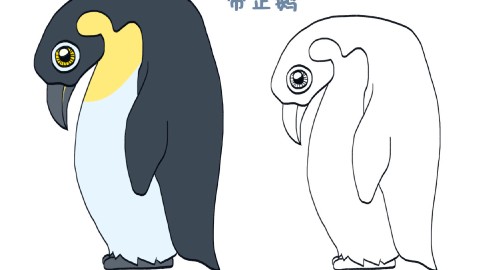 简笔画大全,帝企鹅
