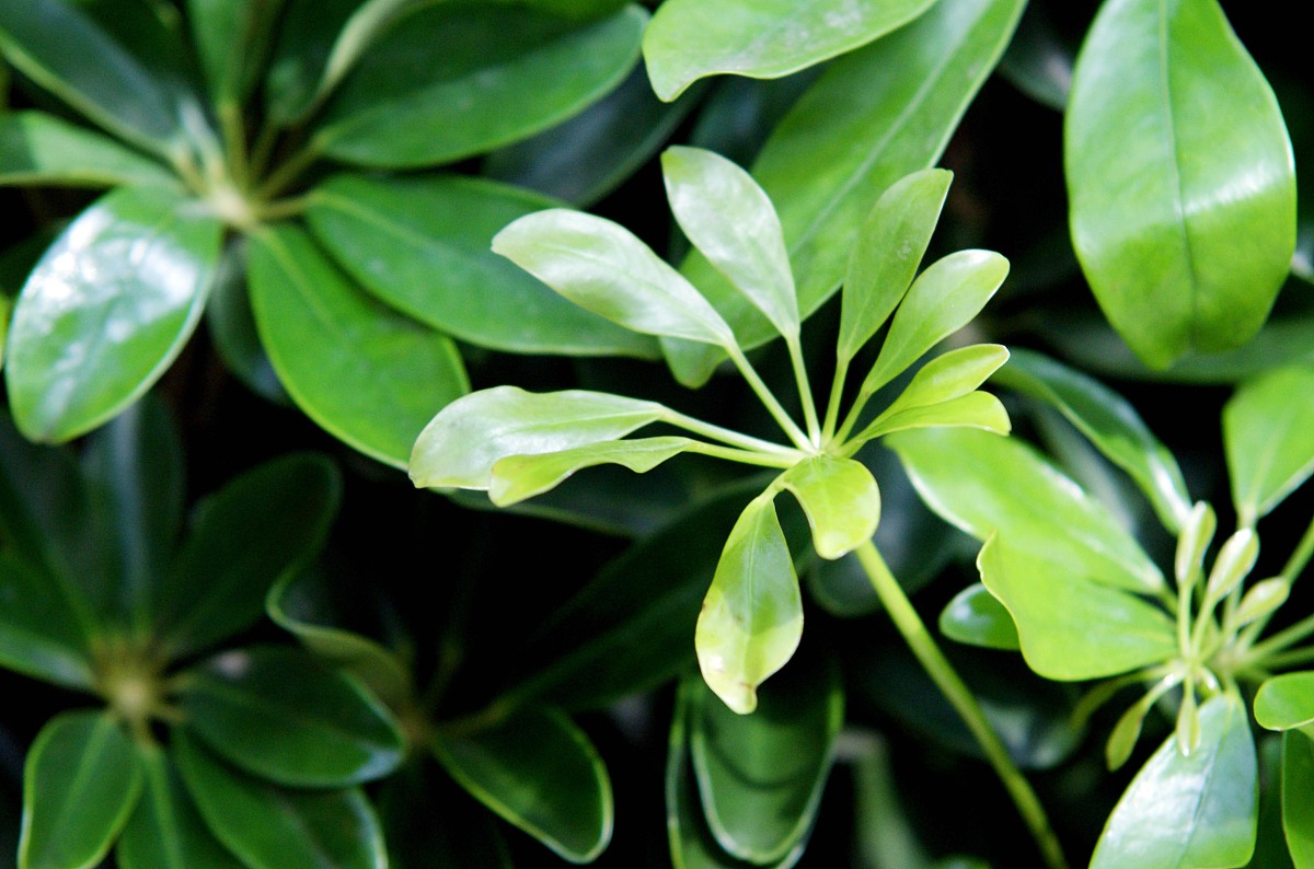 自然科普，其实很有趣！你不知道的奇妙世界