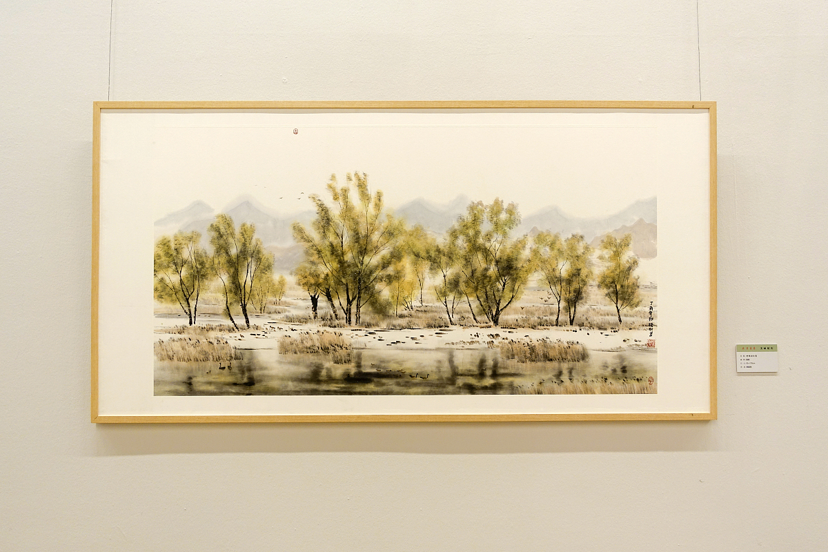 为什么苏北人帅，