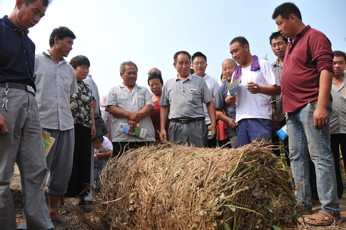 子洲县富发农业科技黄芪产品市场营销：购买者分析