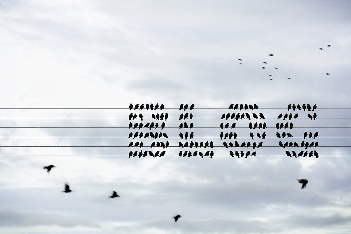 请你写出《追风筝的人》中的好句子