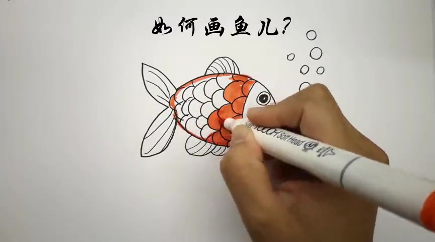 学画简笔画,鱼儿这样画,特别易学好看!
