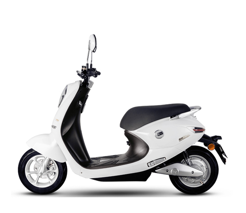 电动车品牌排行_电动车品牌排行2021(4)